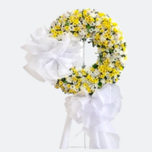 Thiết kế chưa có tên 27