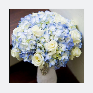 Web hoa Thanh Nga 20