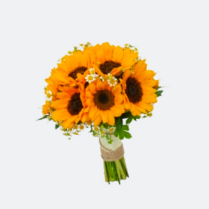 Web hoa Thanh Nga 52